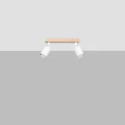 Ceiling lamp VERDO 2 white