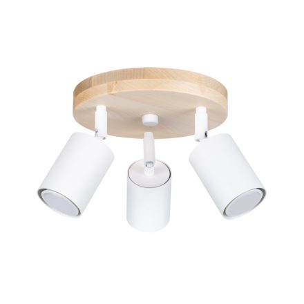Ceiling lamp VERDO 3P white