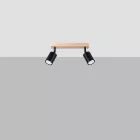 Ceiling lamp VERDO 2 black