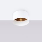 Ceiling lamp TELESTO white/dark brown