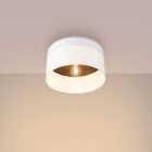 Ceiling lamp TELESTO white/dark brown