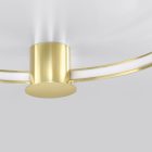 Ceiling lamp RIO 78 polished gold LED 3000K